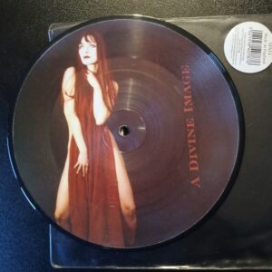 A Divine Image / Before The Morning Rose - ORDO EQUITUM SOLIS ( vinyl picture disc 7" )